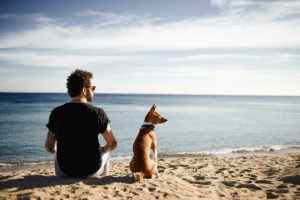 Caucasian Man In Sunglasses Sitting In Beach With Friend's Dog B
