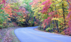 Autumn colors on the Blue Ridge Parkway near Asheville, North Ca