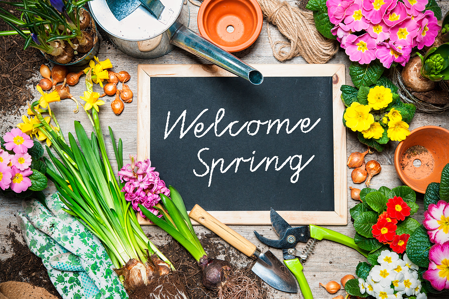 Sprucing Up for Spring by Tommy Smith - Refine and Renew