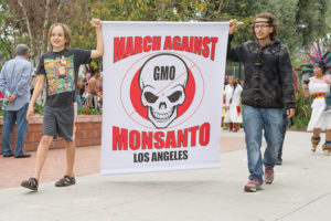 Protesters rallied in the streets against the Monsanto corporati