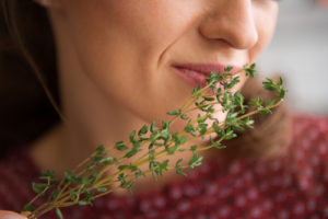 Closeup Of Fresh Thyme Being Smelled By An Elegant Woman